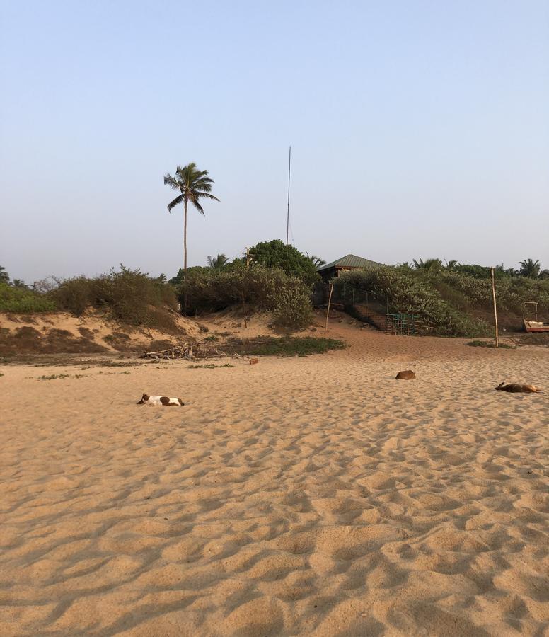 Peravel Beach Holiday Home Candolim Extérieur photo